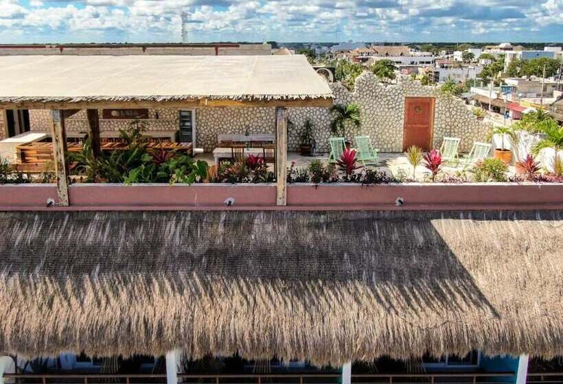 酒店 La Palmita By Mij