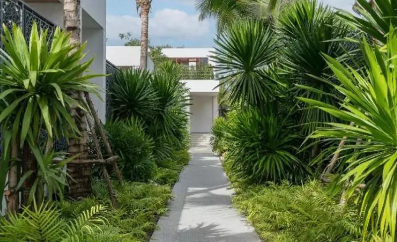 ホテル Melia Phuket Mai Khao