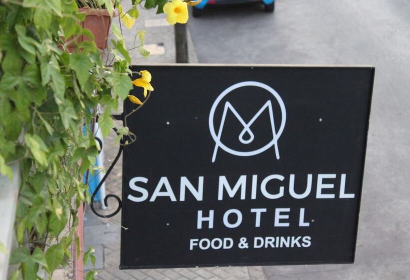 هتل San Miguel