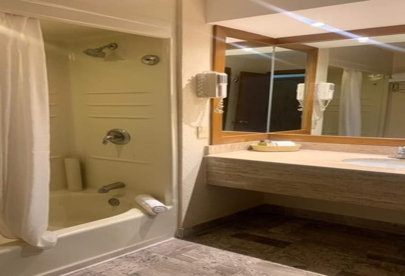 فندق Vida Maya By Dicasi Nv