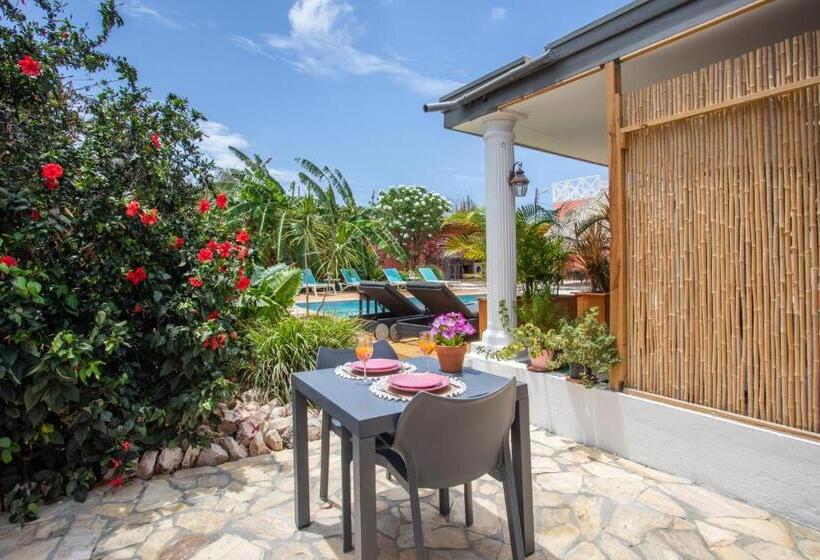 تختخواب و صبحانه Happy Curoase