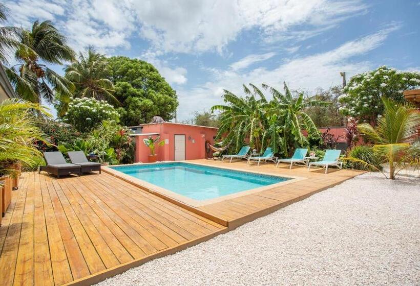 تختخواب و صبحانه Happy Curoase