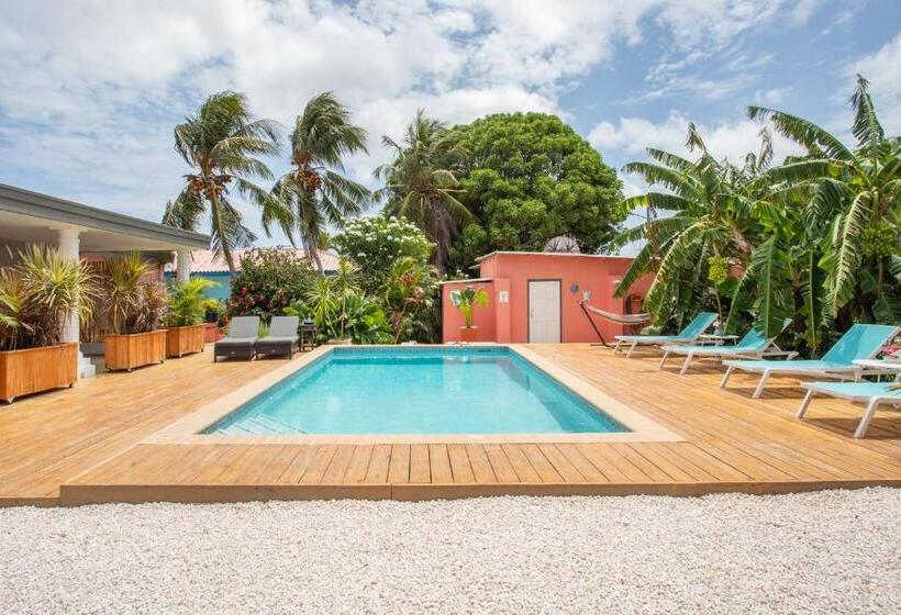 تختخواب و صبحانه Happy Curoase