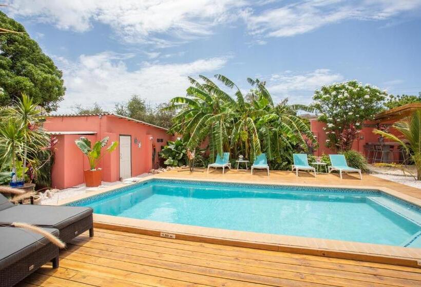 تختخواب و صبحانه Happy Curoase