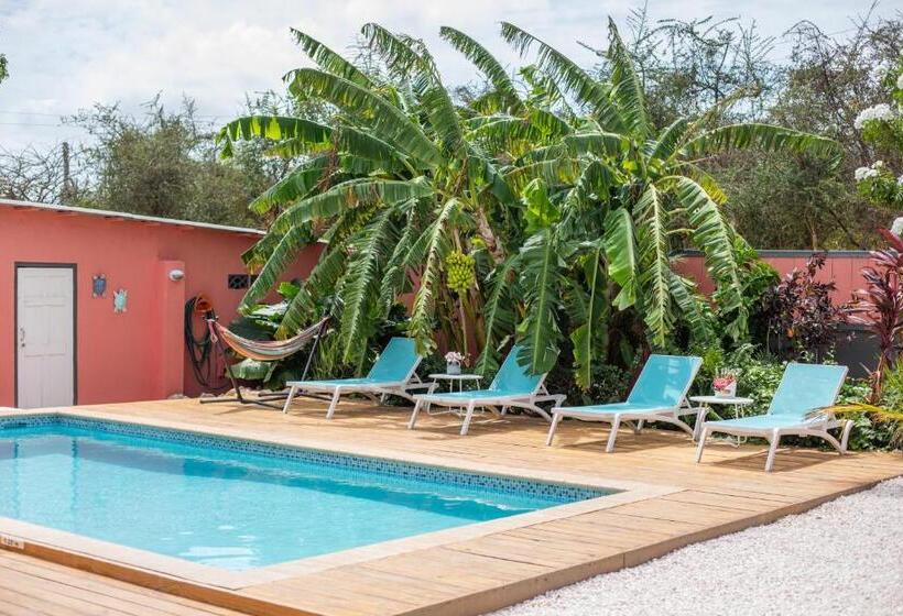 تختخواب و صبحانه Happy Curoase