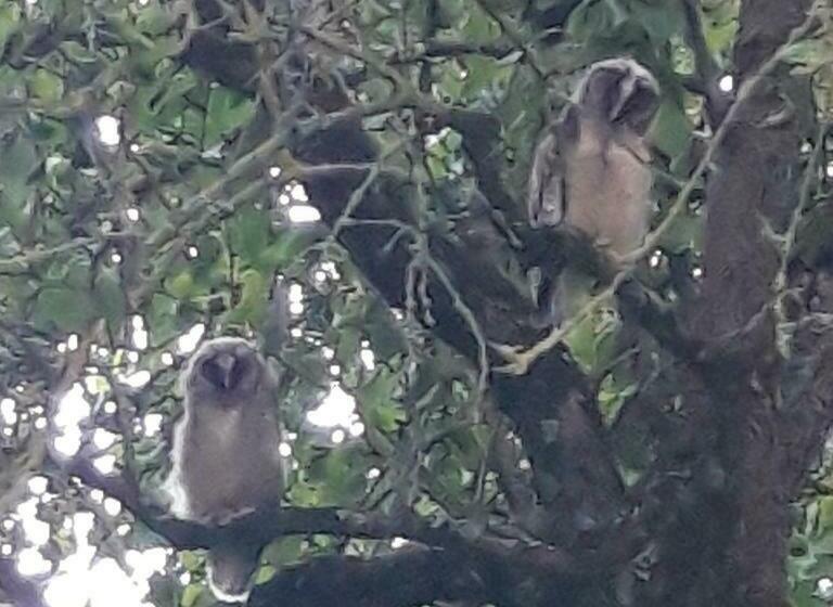 住宿加早餐 L Eden Proche Du Zoo De Beauval De Saint Aignan