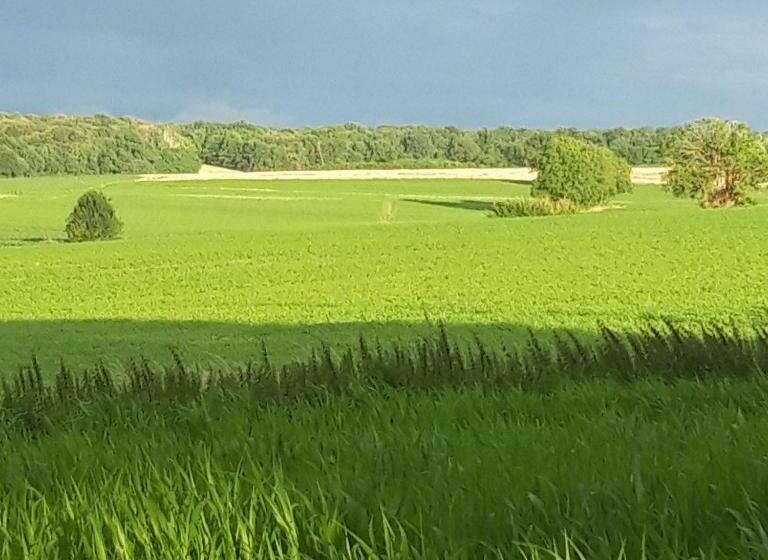 住宿加早餐 L Eden Proche Du Zoo De Beauval De Saint Aignan