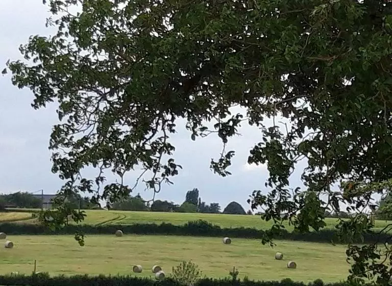 ベッドアンドブレックファースト L Eden Proche Du Zoo De Beauval De Saint Aignan