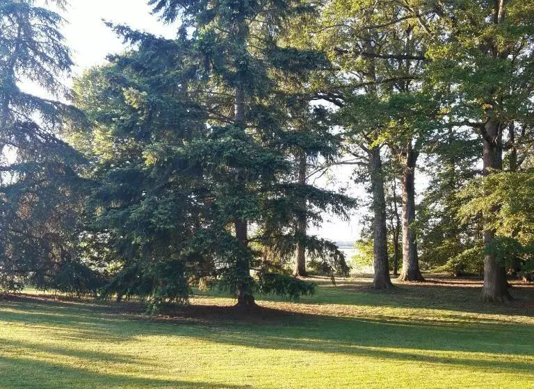 ベッドアンドブレックファースト L Eden Proche Du Zoo De Beauval De Saint Aignan