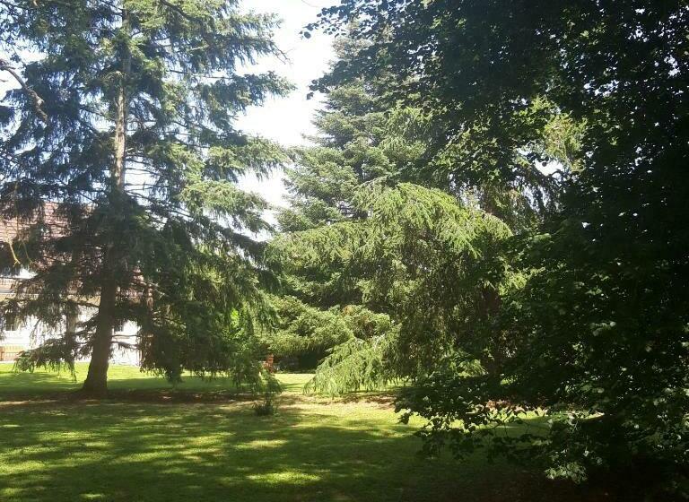 住宿加早餐 L Eden Proche Du Zoo De Beauval De Saint Aignan