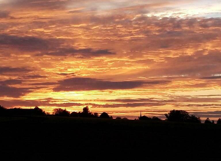 住宿加早餐 L Eden Proche Du Zoo De Beauval De Saint Aignan