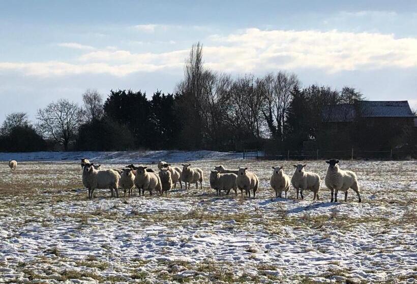 مبيت وإفطار Marston Hall