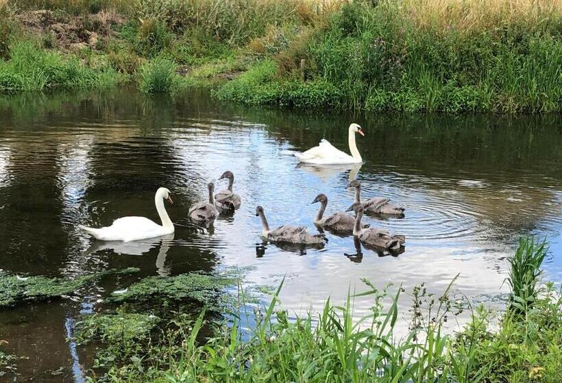 مبيت وإفطار Marston Hall