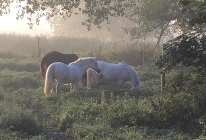 مبيت وإفطار Marston Hall