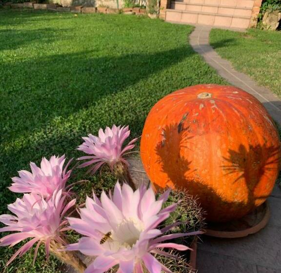 ペンション Ca  Degli Ovi B&b