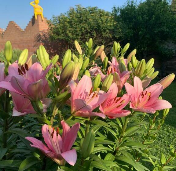 ペンション Ca  Degli Ovi B&b