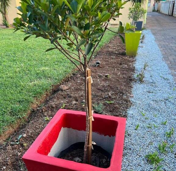 Pension Park Front Lodge