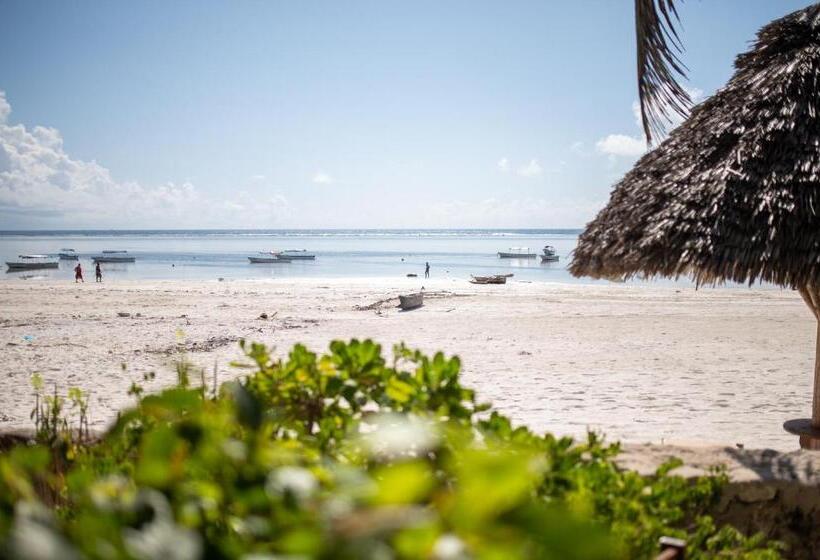 ホテル Hebe Bungalows Lodge