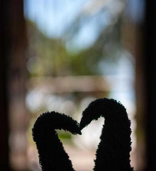 ホテル Hebe Bungalows Lodge