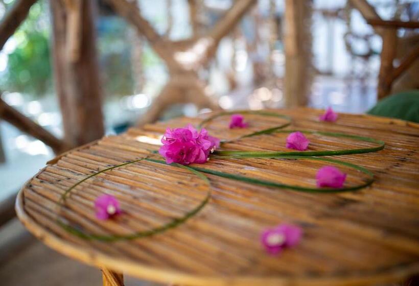 ホテル Hebe Bungalows Lodge