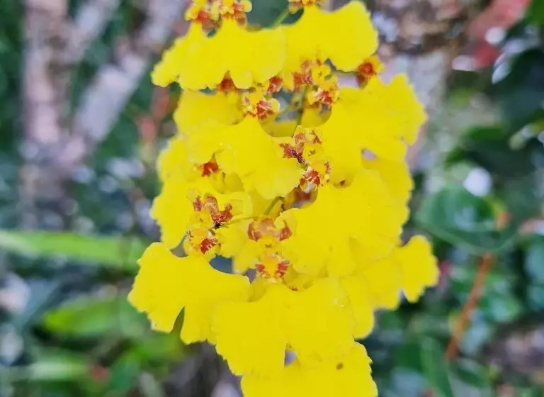 Majatalo Pousada Remanso Do Rio Preto