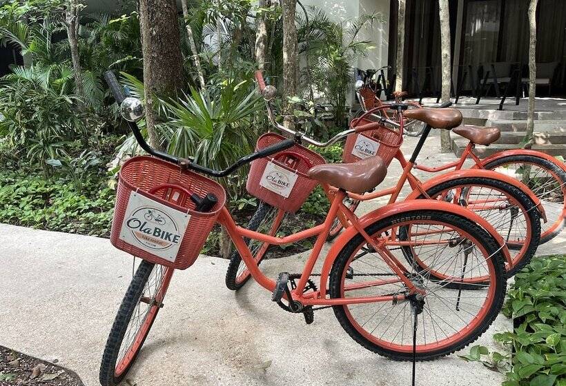 בית מלון כפרי K Uyen Boutique