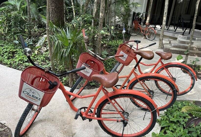 בית מלון כפרי K Uyen Boutique