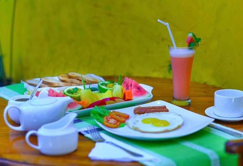 فندق Villa Yehinsa Galle Fort