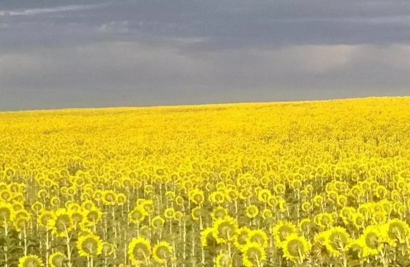 Fuerte De San Mauricio