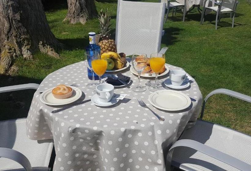 Hostal Restaurante Carolina