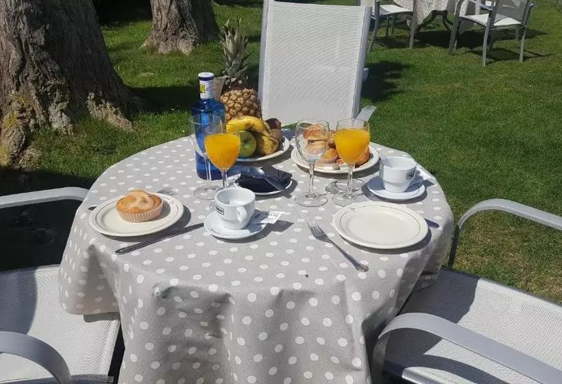 Hostal Restaurante Carolina