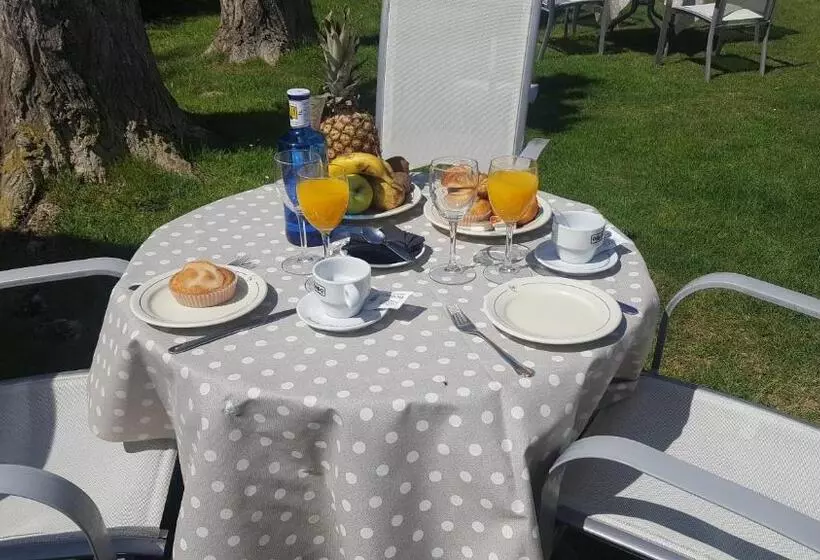 Hostal Restaurante Carolina