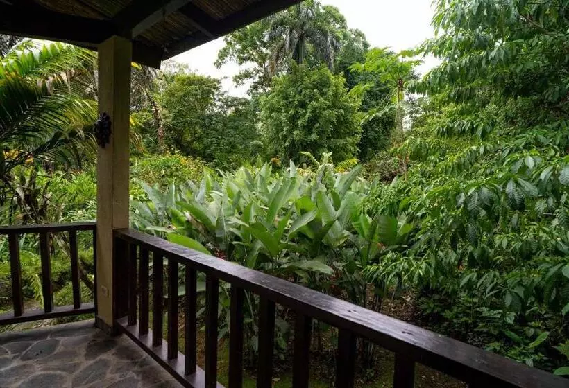 בית מלון כפרי Heliconia Island