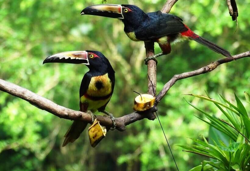 酒店 Heliconia Island