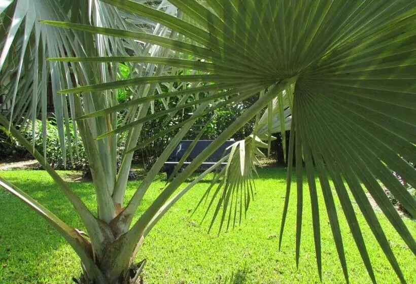 בית מלון כפרי Heliconia Island