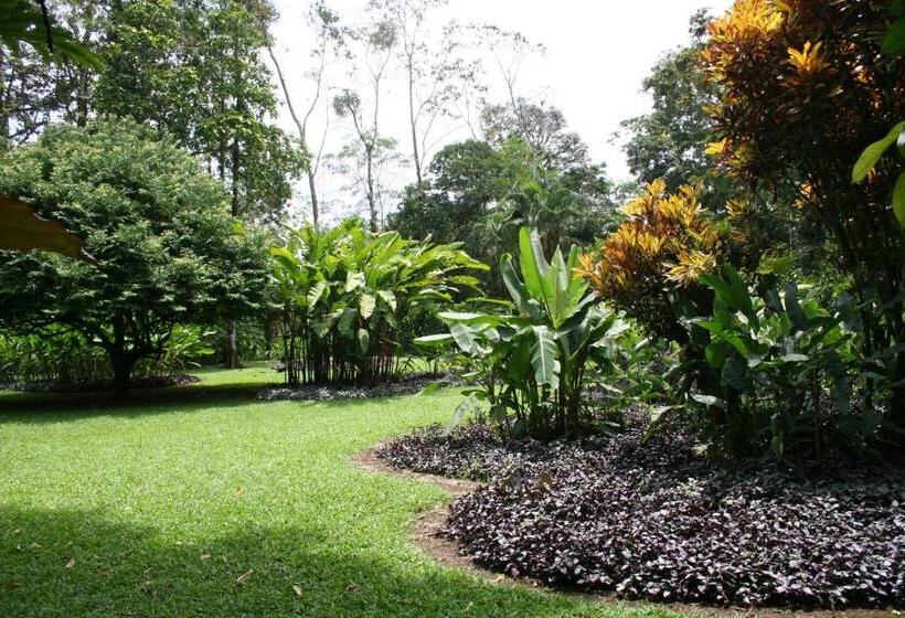 酒店 Heliconia Island