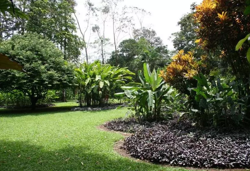 בית מלון כפרי Heliconia Island