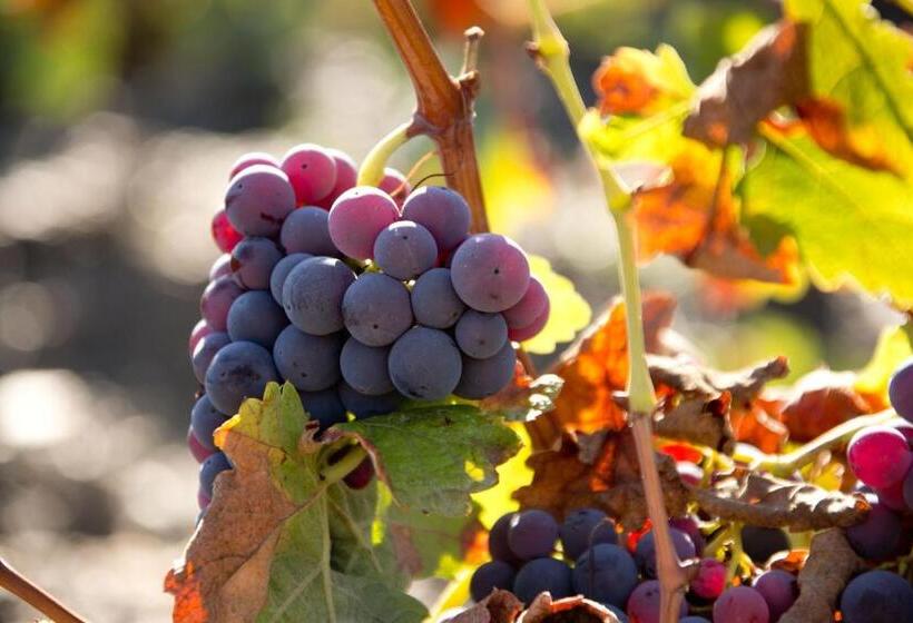 乡村酒店  El Ventorro Hospederia Rural