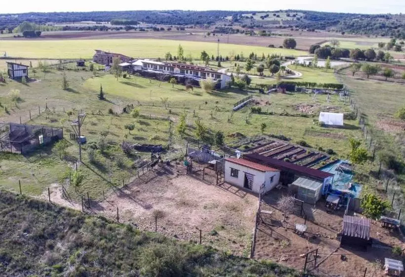 교외 호텔 Albergue Bioclimático Sabinares Del Arlanza