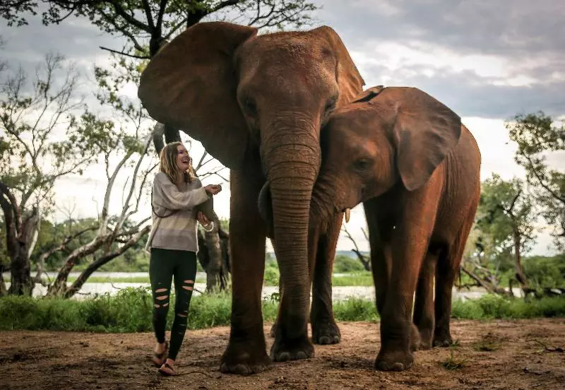 هتل The Victoria Falls Waterfront