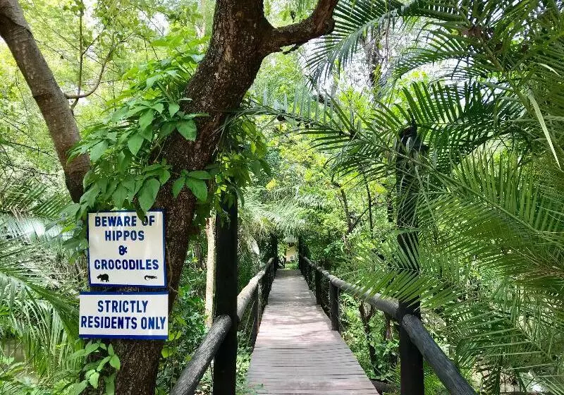 هتل The Victoria Falls Waterfront