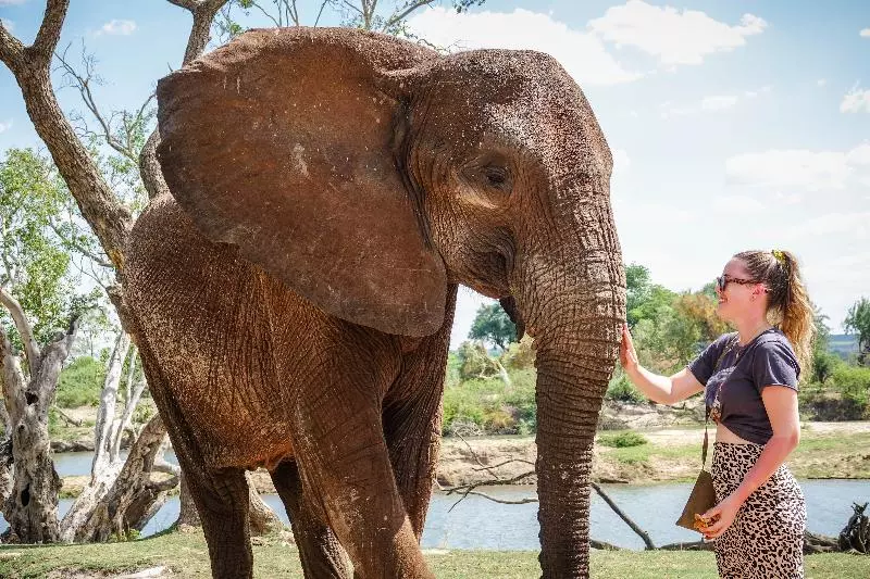 هتل The Victoria Falls Waterfront