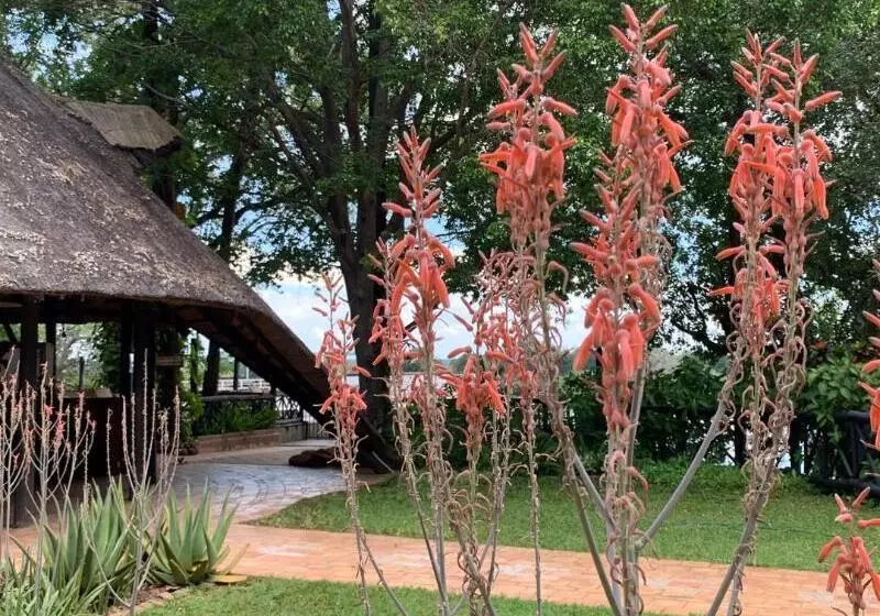 هتل The Victoria Falls Waterfront