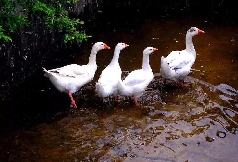 La Fabrica Casa Rural