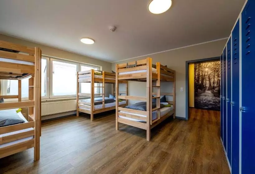 Elly Hostel