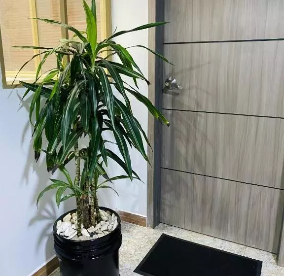 ペンション Bogotá Kings 301