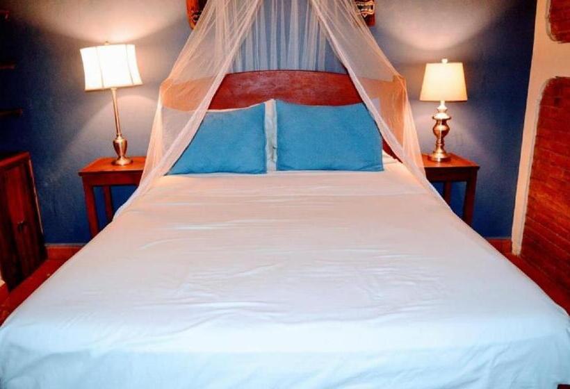 هاستل Casa Riverstone