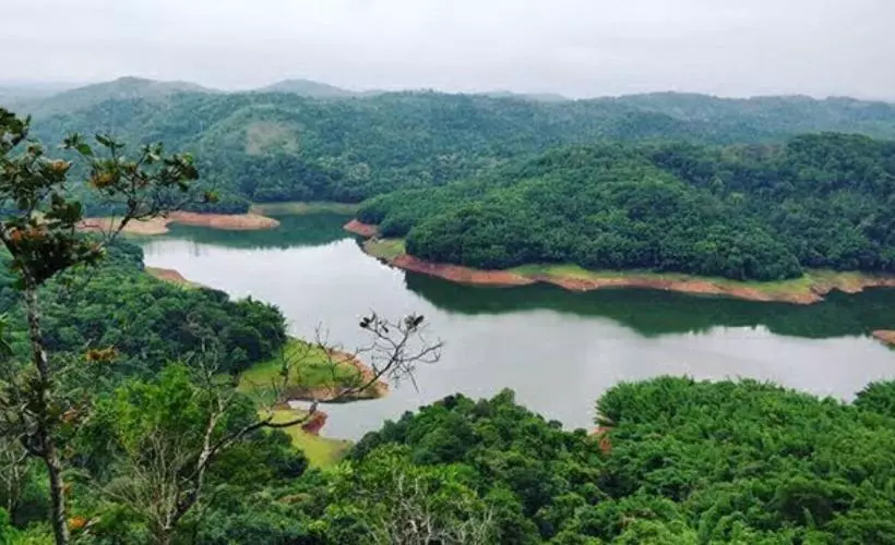ホテル Lemongrass Inn Munnar