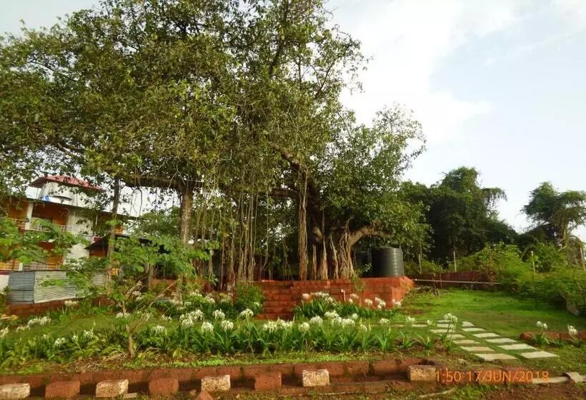 Retkeilymaja Pinacle Inn