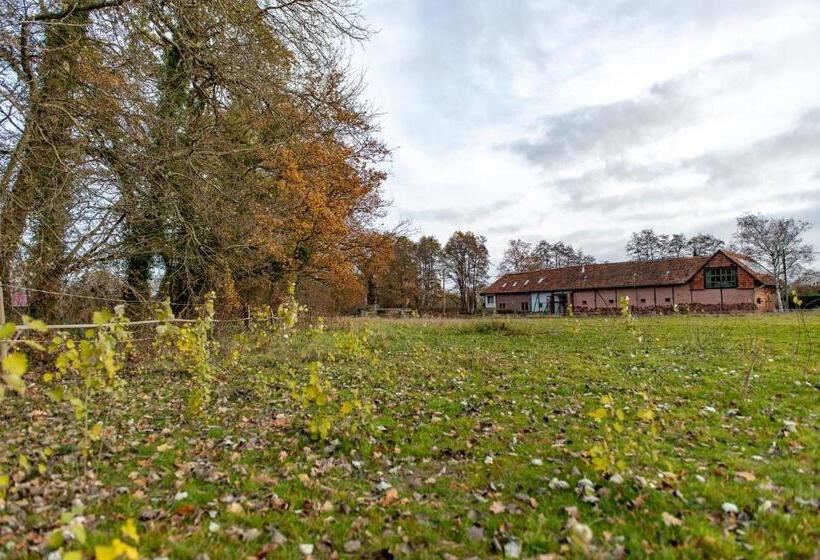 צימר Winning De Zwaen